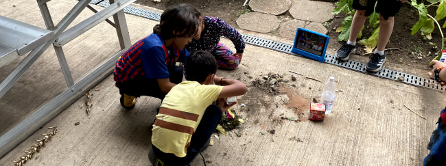 imagen de referencia de niños prácticas ambientales como parte de la educación integral 
